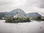 Bled veslanje splosna