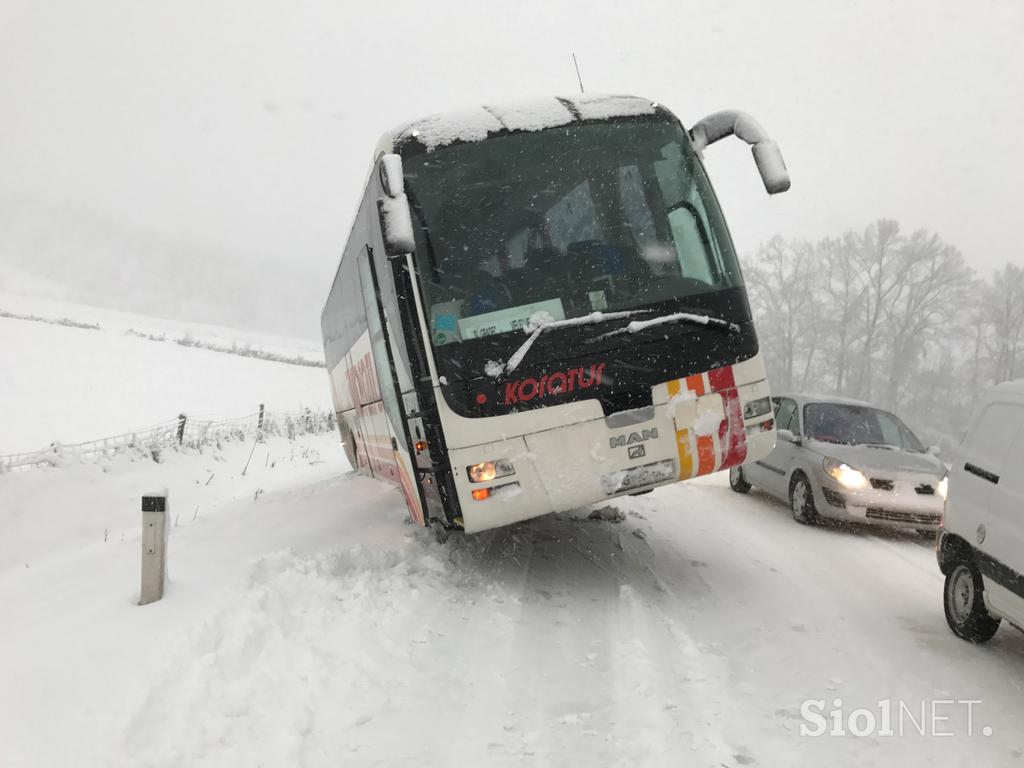 Zdrs avtobusa na Koroškem