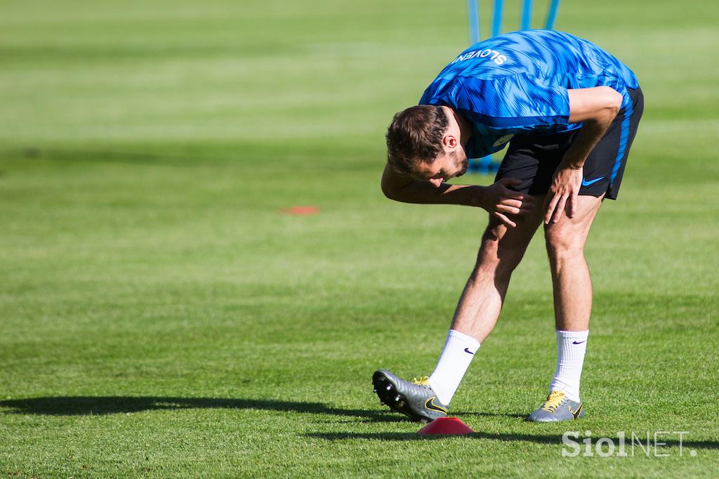 slovenska nogometna reprezentanca, trening