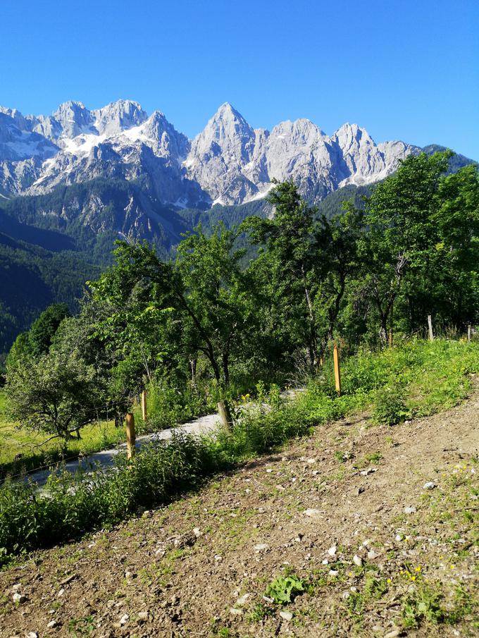 Če se boste na Trupejevo poldne odpravili iz Srednjega Vrha, vas čaka čudovit pogled na Martuljško skupino. | Foto: Matej Podgoršek/Planet TV