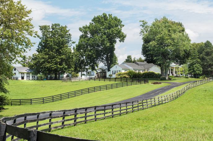 Johnny Depp, posestvo, Kentucky | Foto halfhillauctions.com