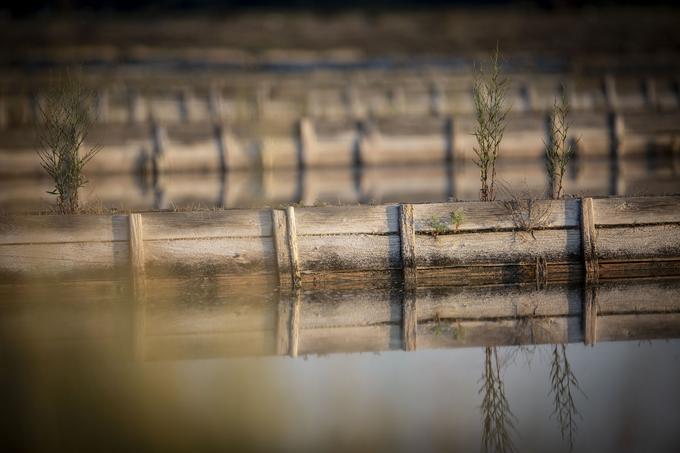 Prepoznavna pokrajina solin | Foto: Bojan Puhek