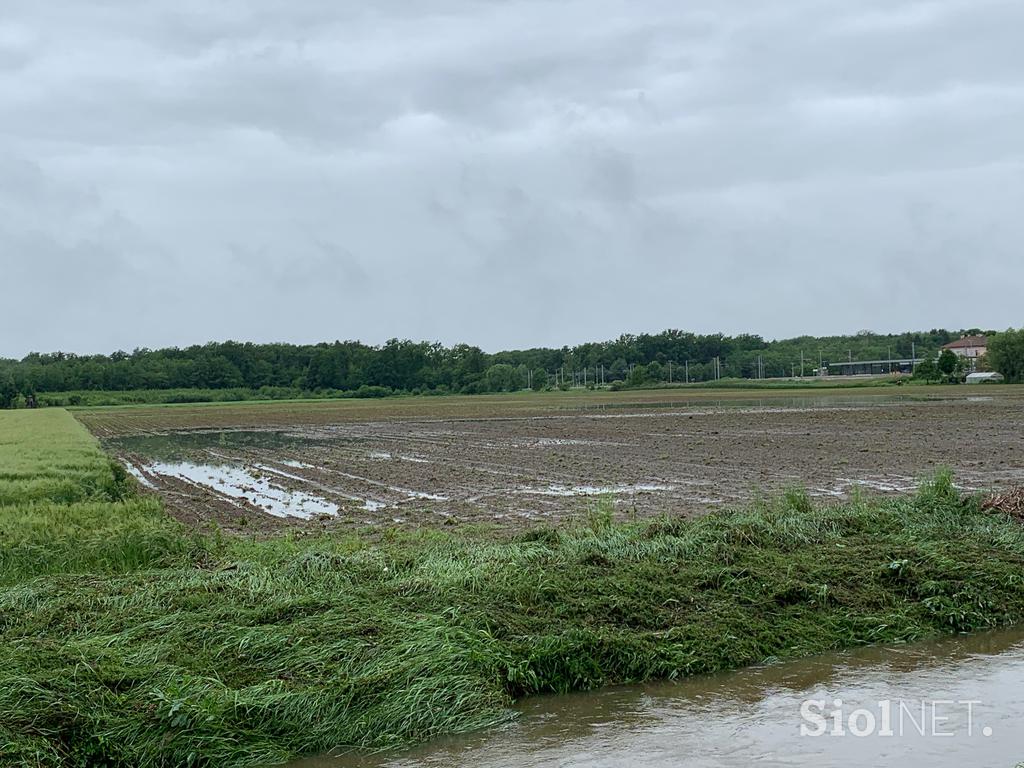 Slovenska Bistrica poplave njive