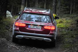 Mercedes-Benz E All-Terrain - gozd