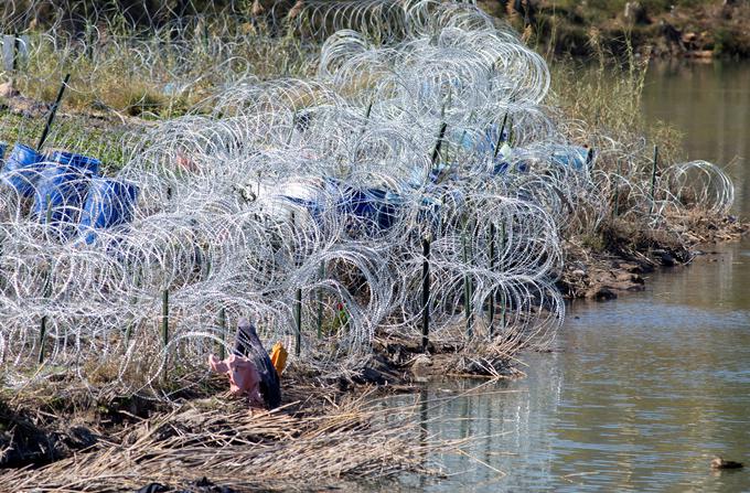 Bodeča žica je do zdaj porezala že več migrantov ob prihodu v ZDA. | Foto: Reuters