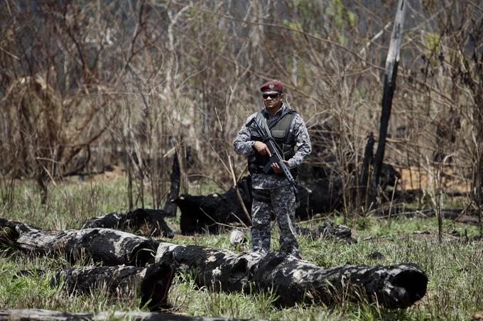 Amazonski pragozd nezakonito izsekavajo za pašnike in polja, na katerih redijo živino in gojijo sojo. Pragozd uničujejo tudi iskalci zlata. Na fotografiji: brazilski policist na območju, kjer so nezakonito uničevali amazonski pragozd zaradi poskusa širjenja kmetijskega zemljišča. | Foto: Guliverimage