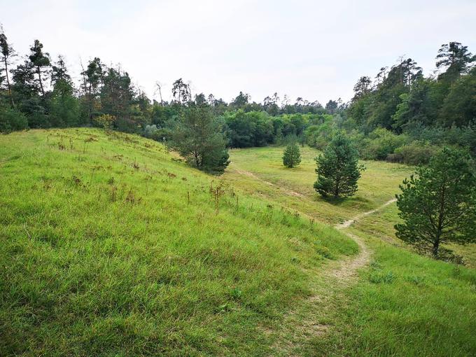 Današnji pogled na zaraščeni Ostkurve | Foto: 