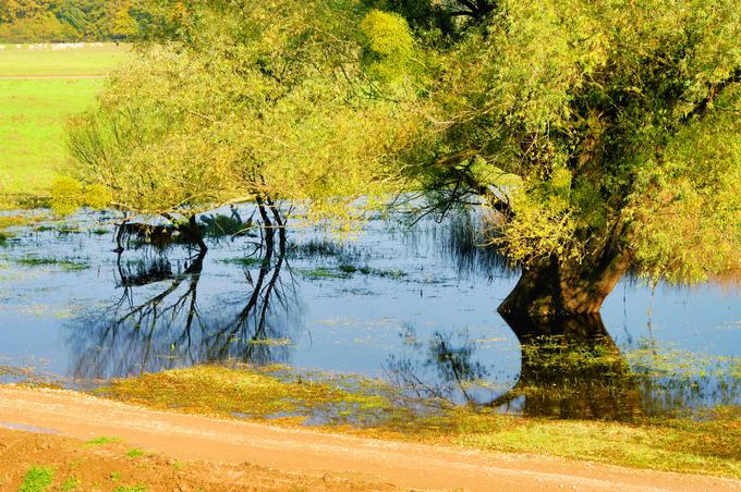 narav dom počitnice zavarovanje jadranje | Foto: Thinkstock