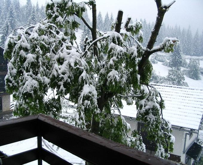 vreme, sneg, Loški potok, Meteoinfo Slovenija good | Foto: Andreja Mišič/Meteoinfo Slovenija