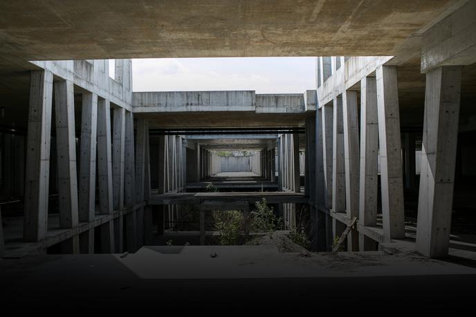 stožice | Foto Klemen Korenjak