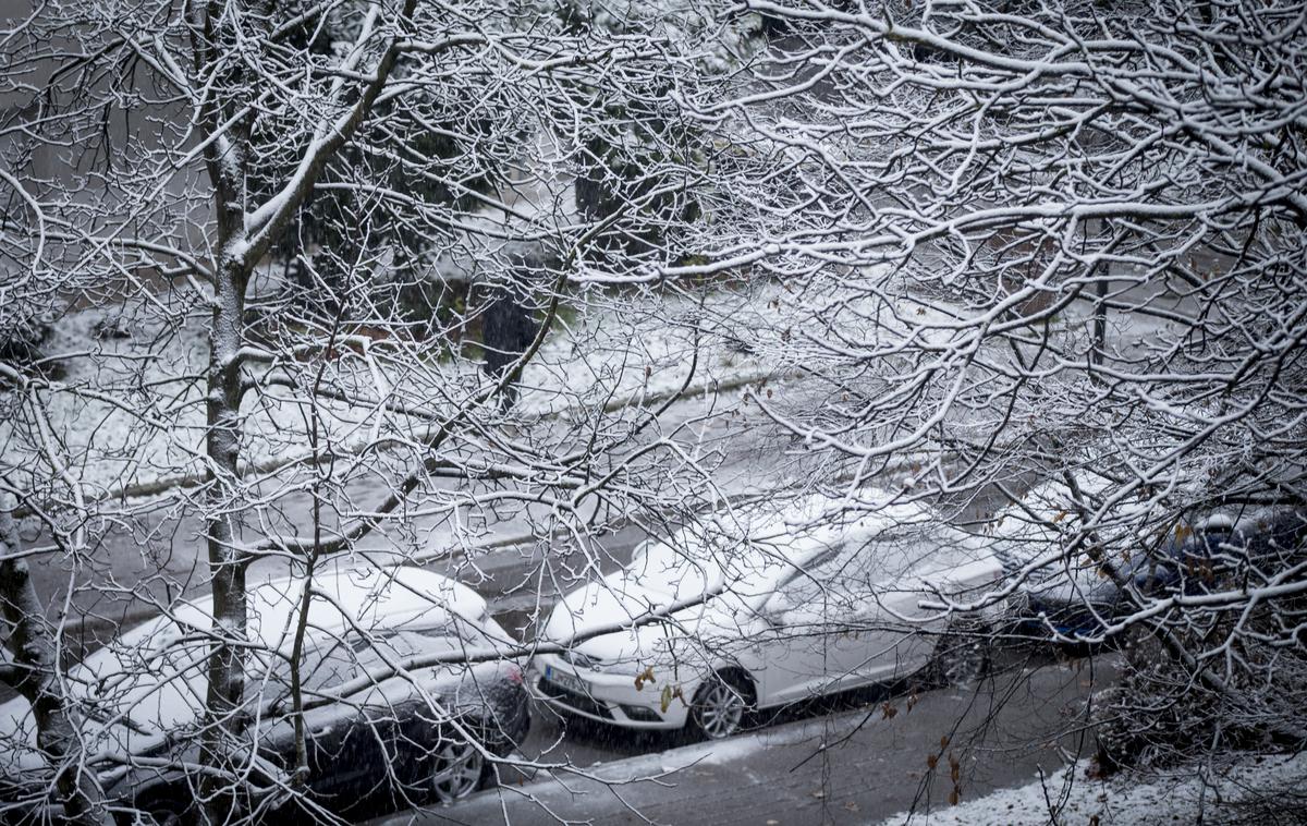 sneg | Rahlo sneženje je danes napovedano predvsem na vzhodu države. | Foto Ana Kovač