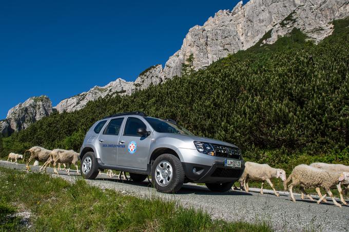 Gorske ceste Slovenije služijo svojemu namenu le, če jih ljudje uporabljajo z občutkom. Po teh poteh lahko do božanskih gorskih razgledov pridejo tudi ljudje, ki jim je usoda ali bolezen sicer omejila svobodo. | Foto: Klemen Korenjak