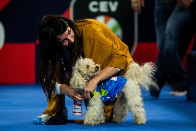 Slash evropsko prvenstvo | Uvodni tekmi Slovenije na evropskem prvenstvu si je v Stožicah ogledal tudi štirinožni prijatelj pomočnika selektorja slovenske izbrane vrste. | Foto Grega Valančič/Sportida