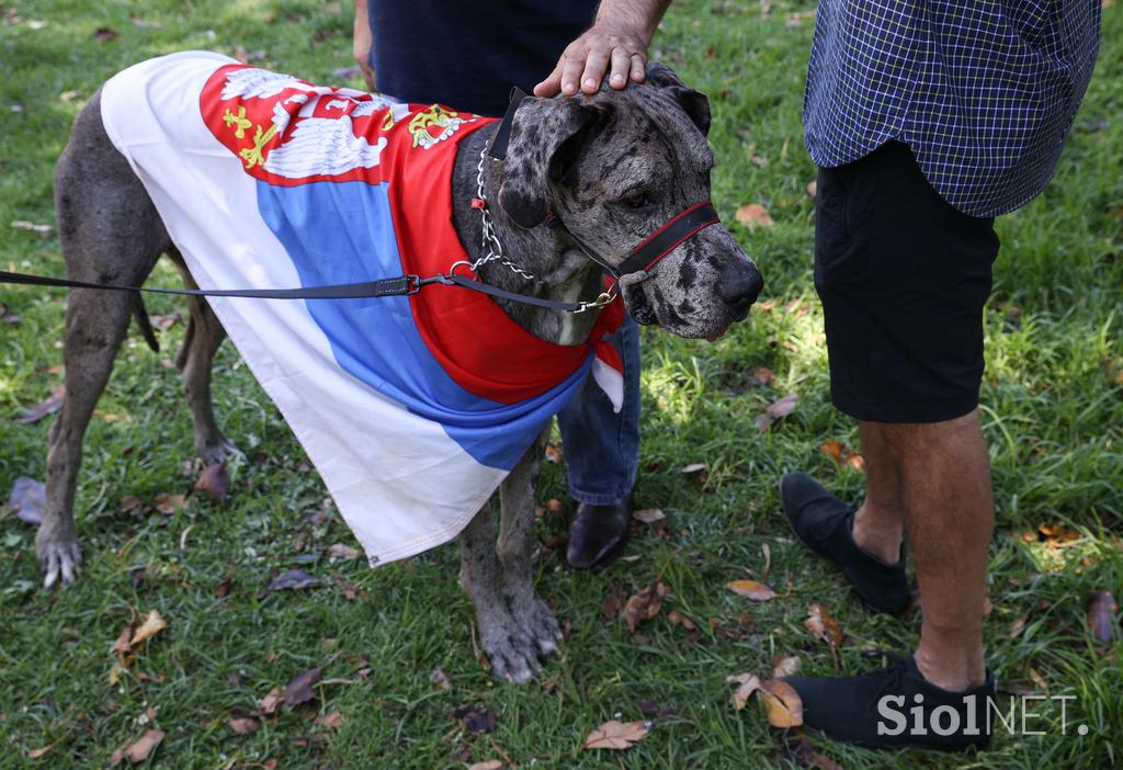 Novak Đoković Protest Srbi Melbourne