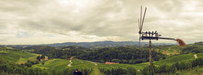 Turistična kmetija Dreisiebner, Srce med vinogradi, Špičnik | Foto: Matjaž Vertuš