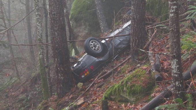 Zadnje počivališče porscheja 924, ki je sicer letnik 1976. (foto: policija) | Foto: 