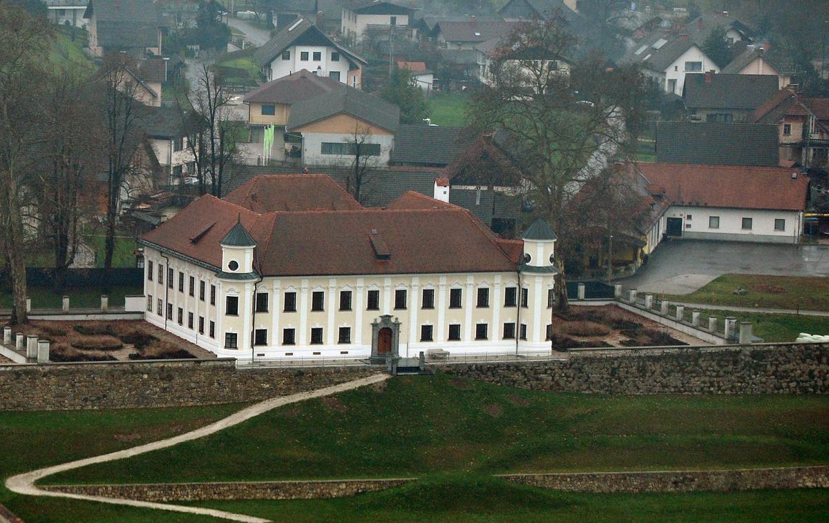 Grad Goričane | Ljubljanska nadškofija je že napovedala, da bo pravico iskala na ustavnem sodišču. | Foto STA