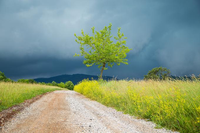 Če se bo temperatura ozračja v Sloveniji dvignila za okoli 3 stopinje Celzija nad temperaturo s konca 19. stoletja, se bo obremenitev zaradi vročine še stopnjevala. | Foto: Getty Images