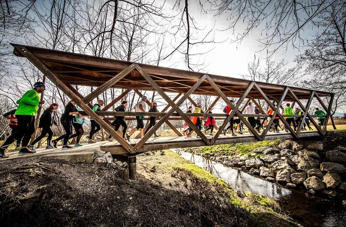 Mali kraški maraton tek | Foto: Vid Ponikvar