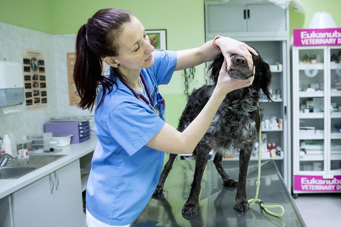 veterinarka Urška Drobnič | Foto: Ana Kovač