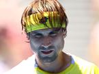 David Ferrer