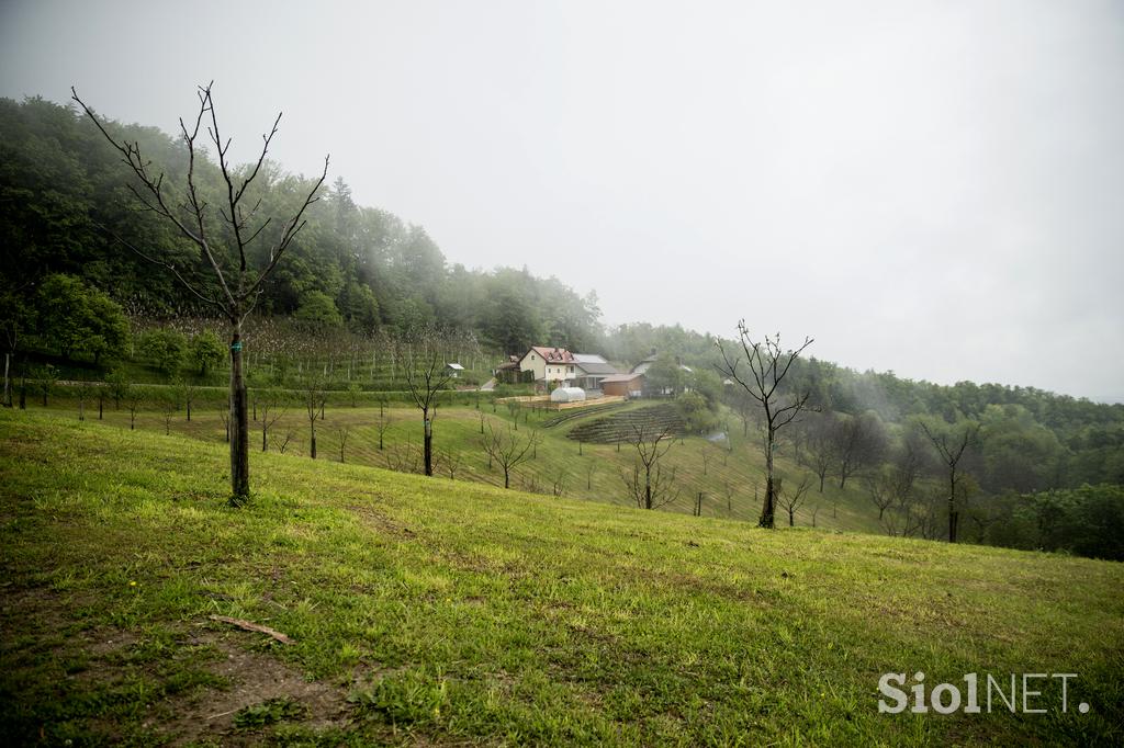 Kmetija Omerzu Manca Ivan Kozjansko sivka oreh Brežice