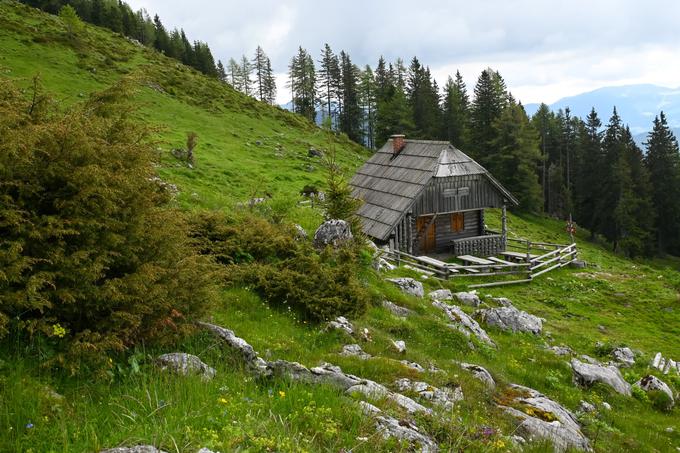 Sestop čez planino Arta in nato proti Loki. | Foto: Matej Podgoršek