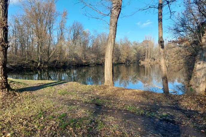 Jezero | Kriminalist je takoj skočil na pomoč.  | Foto PU Murska Sobota