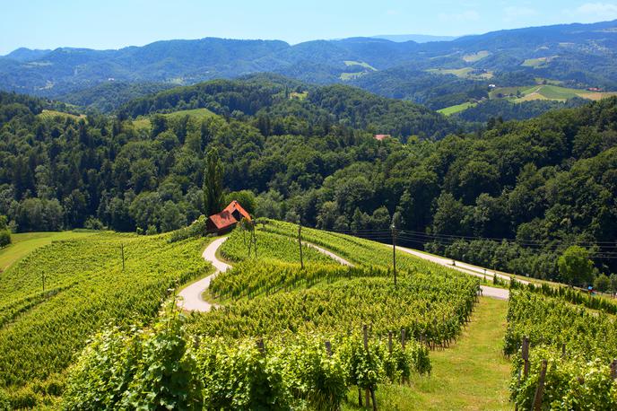 Srce med vinogradi, Svečina | Foto Nea Culpa (www.slovenia.info)