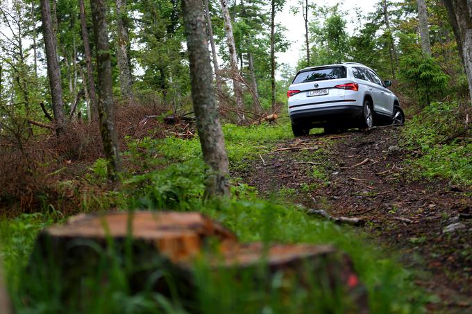 Štirikolesnim pogonom sproti razporeja navor med prvo in zadnjo osjo ter učinkovito skrbi za oprijem v slabših voznih pogojih. Kodiaq ni brezkompromisen terenec, a je prilagojen aktivnemu življenjskemu slogu. | Foto: Gregor Pavšič