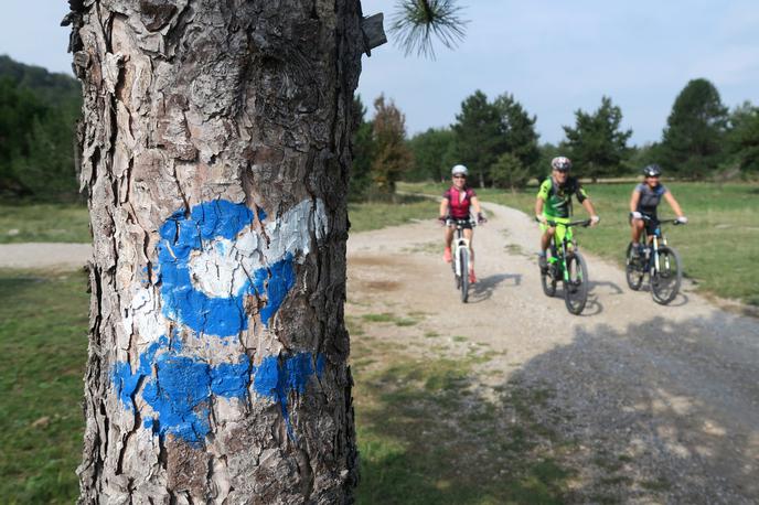 turnokolesarska pot | V soboto, 1. junija, bo v Sloveniji poseben dogodek. Kolesarji bodo poskušali Slovensko turnokolesarsko pot, ki jo sestavlja 41 etap in 1.850 kilometrov, prevoziti v enem dnevu. | Foto Manca Čujež