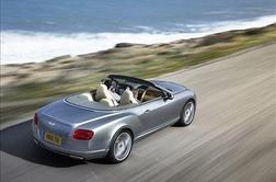 Bentley continental GTC