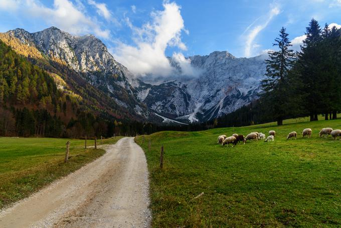 Jezersko obkrožajo visoke gore in čudovita narava. | Foto: Getty Images