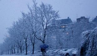 Ponoči poplavljali Vipava in Ljubljanica, reke se že umirjajo