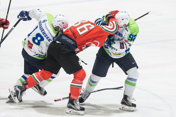 Slovenija Madžarska pripravljalna tekma hokej pretep | Foto Vid Ponikvar