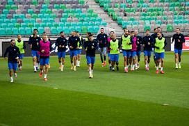 trening slovenske nogometne reprezentance, Stožice, San Marino