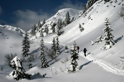 Julijske Alpe, ki jih lahko odnesete domov