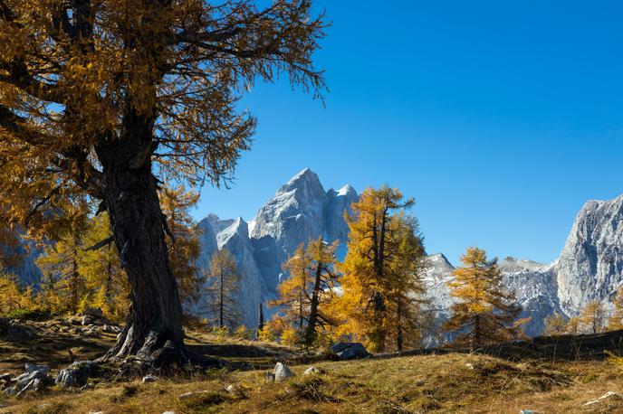 Medicum | Foto Shutterstock