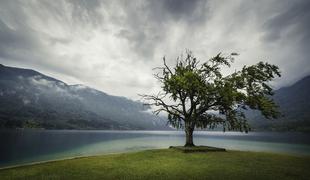 Gladina Bohinjskega jezera narasla za dober meter in pol