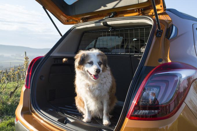 Nova Opel Mokka X je prijazna do vašega zvestega prijatelja, ki nikakor ne bo želel zamuditi potovanja z vami. | Foto: 