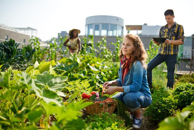 vrtnarjenje | Foto: Thinkstock