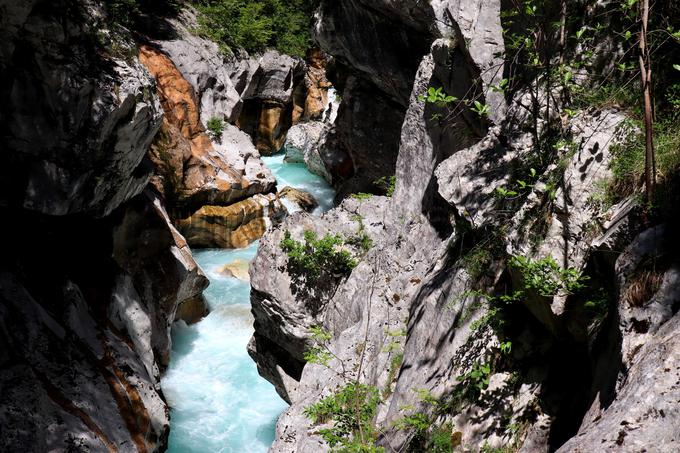 Velika korita Soče | Foto: Matej Podgoršek