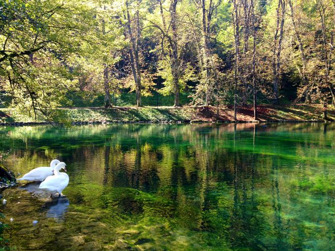 Vrelo Bosne je bilo nekoč priljubljeno zbirališče Sarajevčanov za prvojmajske piknike - zdaj je kurjenje ognja tam prepovedano. | Foto: Thinkstock