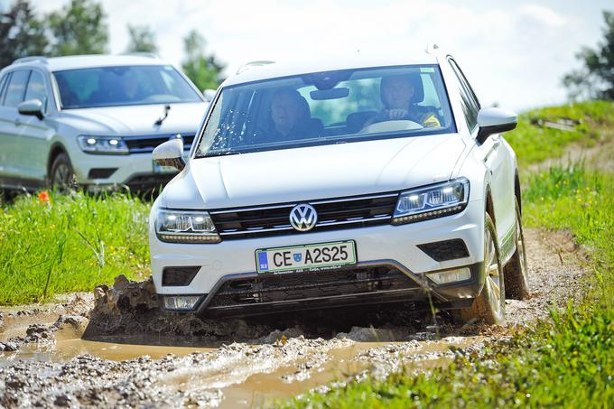 Pod motornim pokrovom bo na voljo osem različnih izvedb bencinskih motorjev TSI in dizelskih motorjev TDI z razponom moči od 85 kW/115 KM do 176 kW/ 240 KM. | Foto: Jure Gregorčič