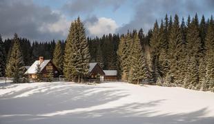 Pokljuka: rajsko predmestje Bleda in Bohinja