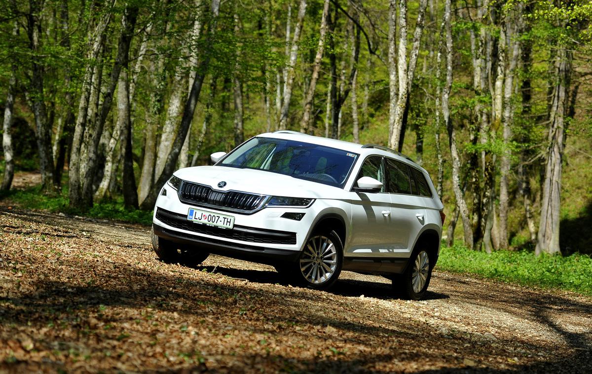 Škoda kodiaq - domača predstavitev | Foto Jure Gregorčič