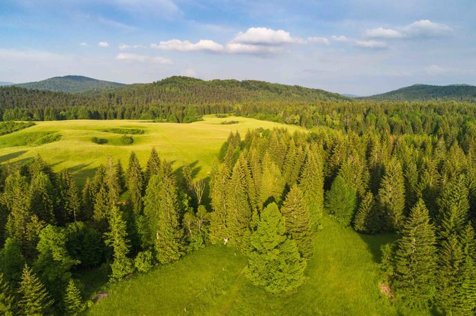 Kočevsko | Obiščite Kočevsko in odkrijte številne naravne bisere. | Foto Jošt Gantar