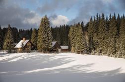 Pokljuka: rajsko predmestje Bleda in Bohinja