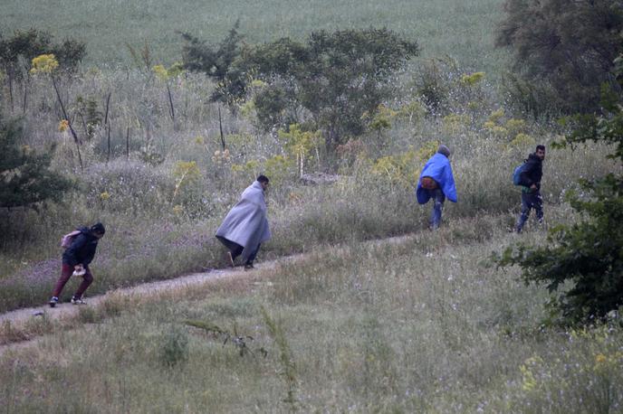 Idomeni, begunci, migranti | Odločbe pooblaščenke se po njihovih navedbah nanašajo na obširno dokumentacijo policije, s katero so nadrejeni policisti policiste usmerili v dvoumne postopke, s katerimi naj bi letos drastično zreducirali število prošenj za azil. | Foto Reuters