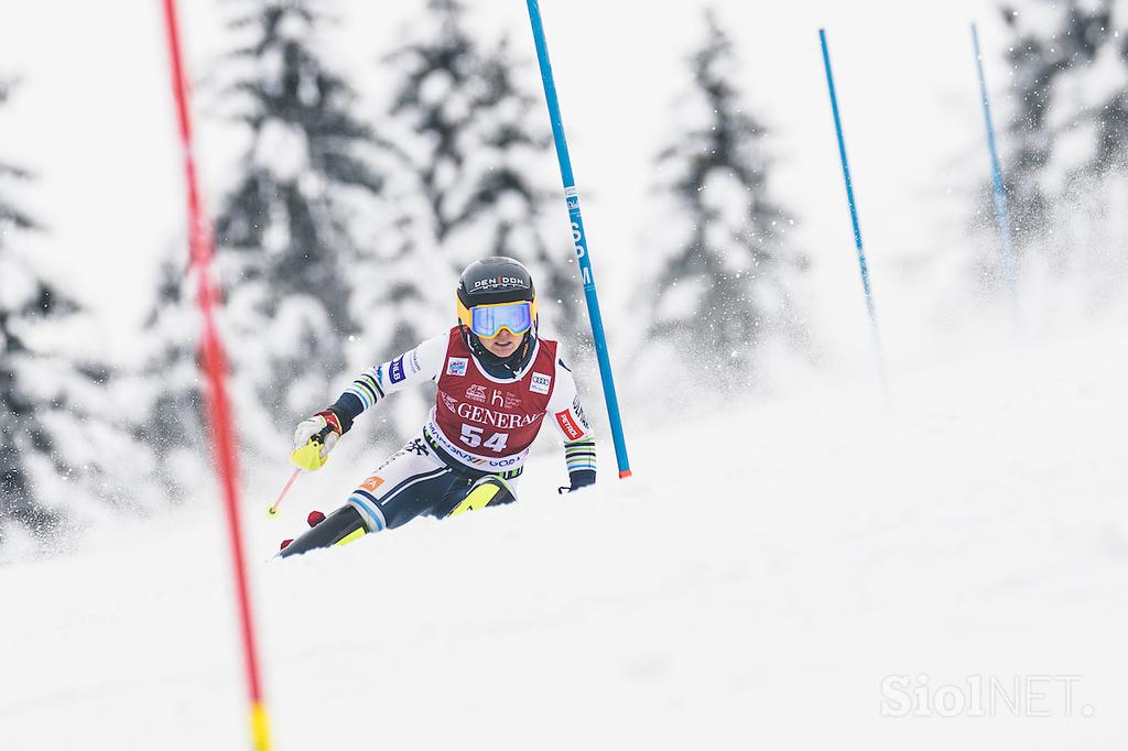 Zlata lisica, slalom, Pika Dvornik